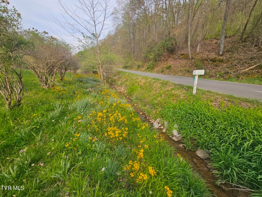 Photo #3: 2320 Left Poor Valley Road