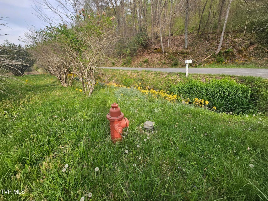 Photo #4: 2320 Left Poor Valley Road