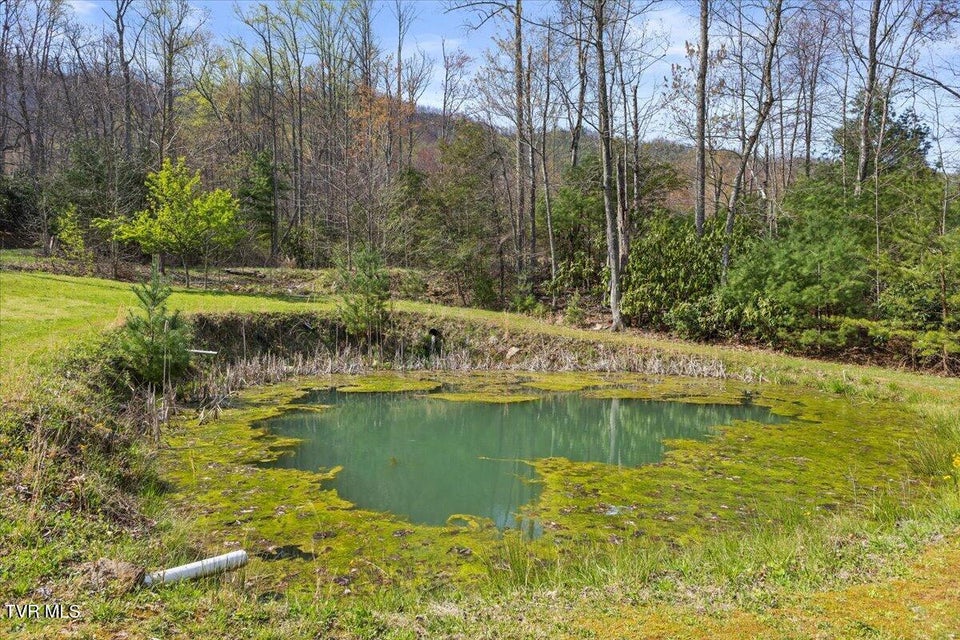 Photo #33: 1102 Foxhound Hills Circle