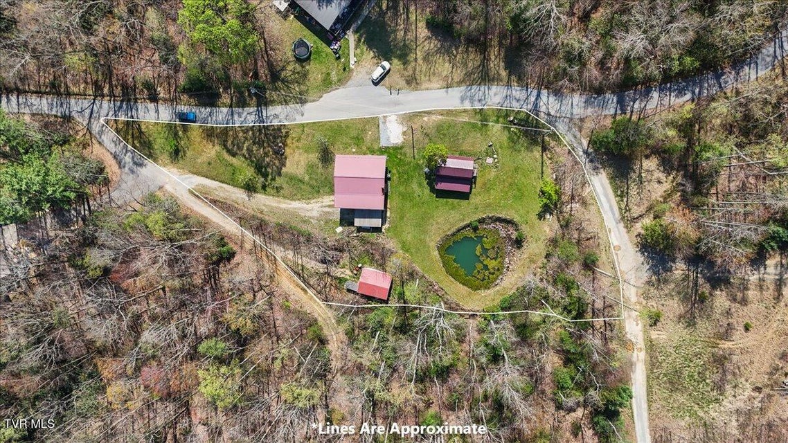 Photo #46: 1102 Foxhound Hills Circle