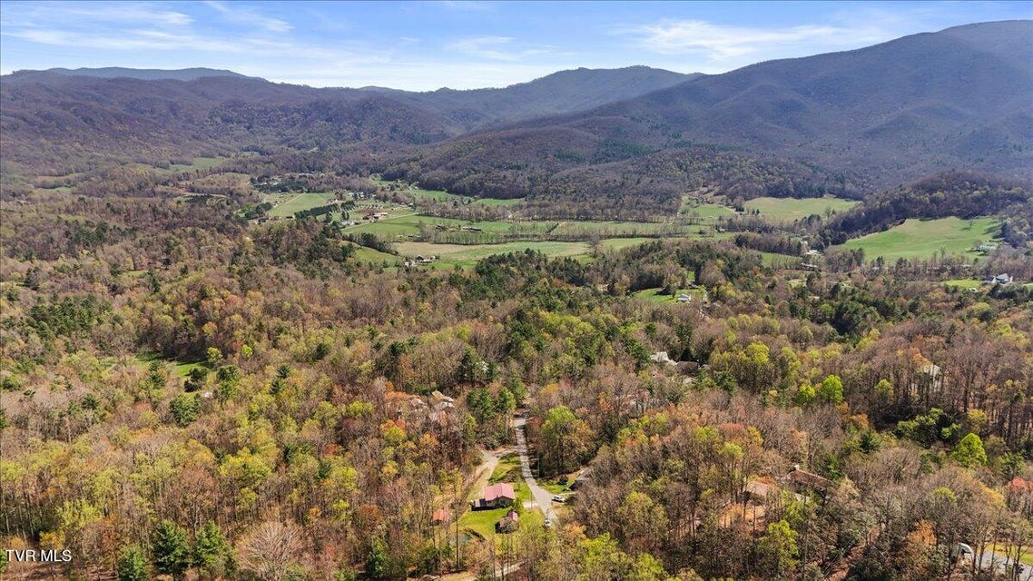 Photo #47: 1102 Foxhound Hills Circle