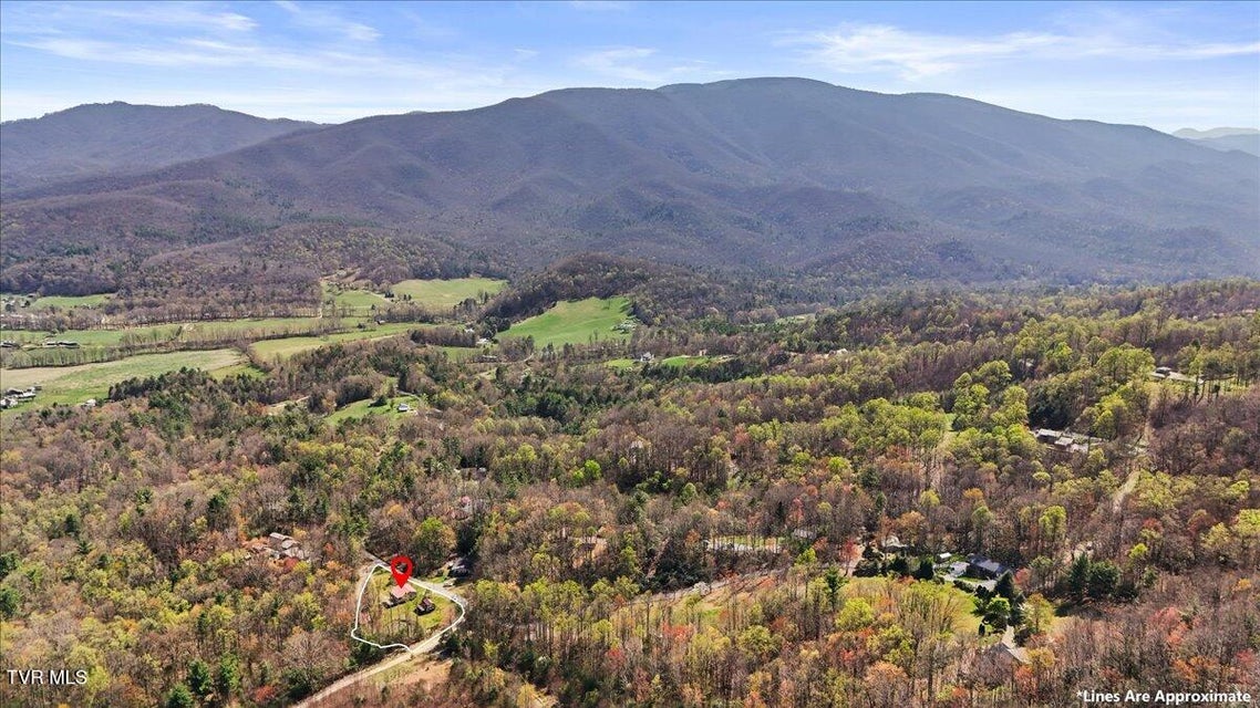 Photo #48: 1102 Foxhound Hills Circle