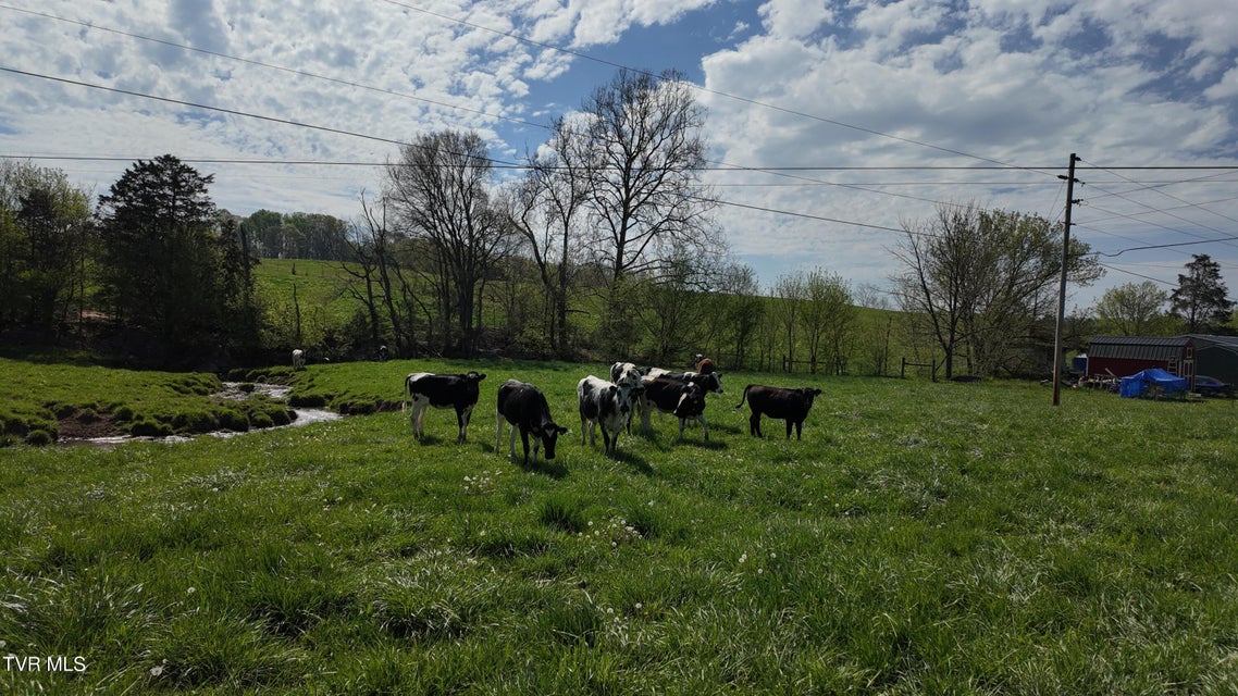 Photo #64: 3200 Milburnton Road