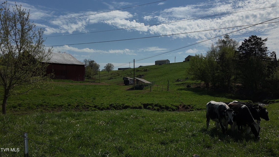 Photo #67: 3200 Milburnton Road