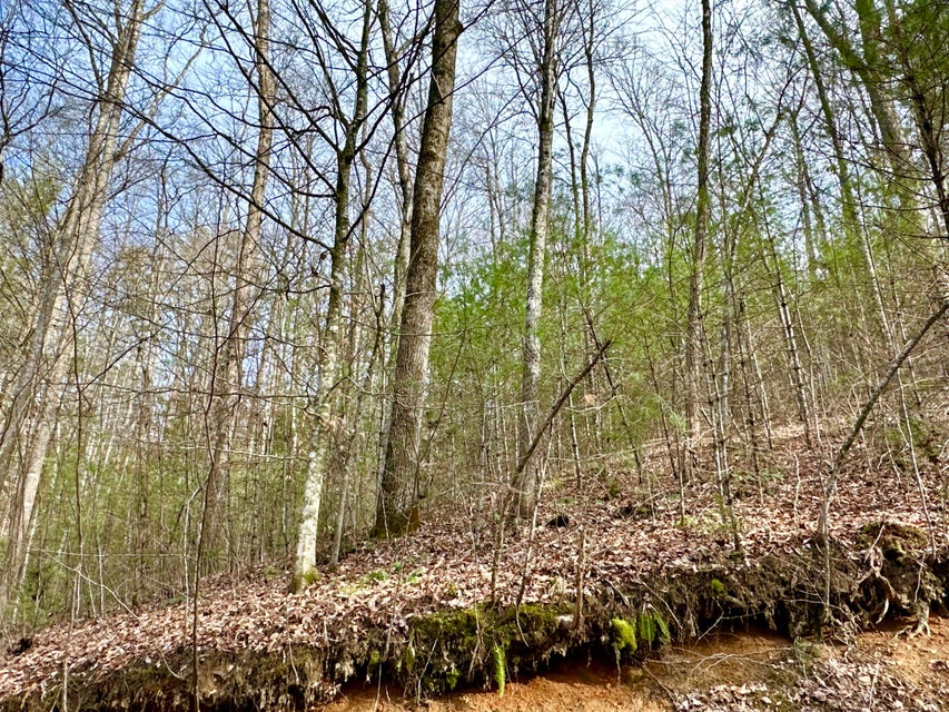 Photo #10: Lot 22 Horse Shoe Way