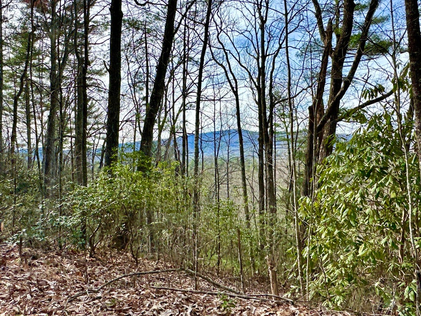 Photo #2: Lot 30 Clydesdale Way