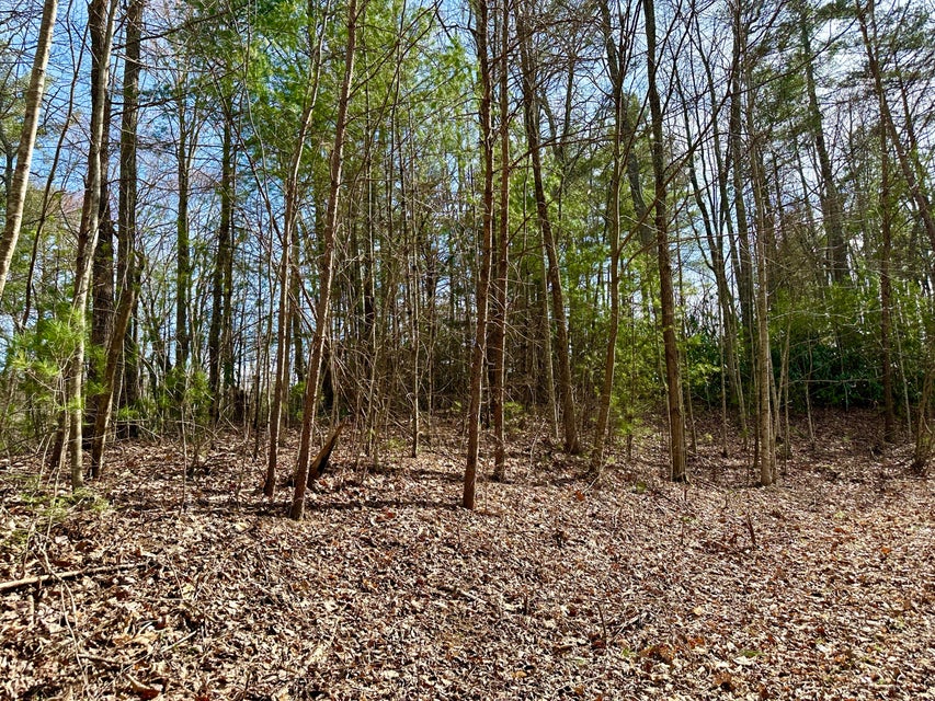 Photo #2: Lot 36 Clydesdale Way