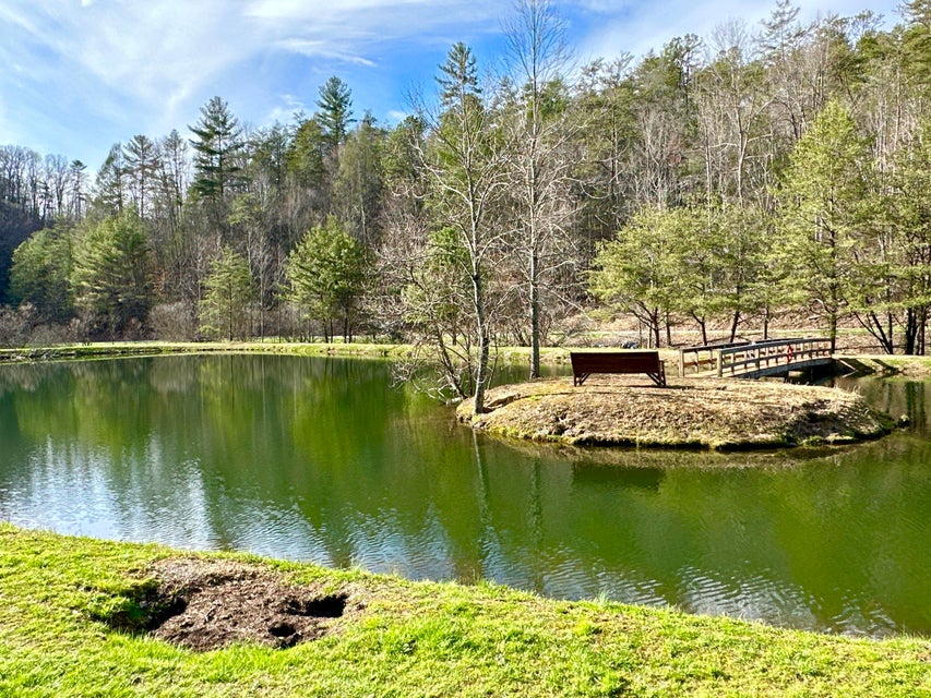 Photo #13: Lot 36 Clydesdale Way