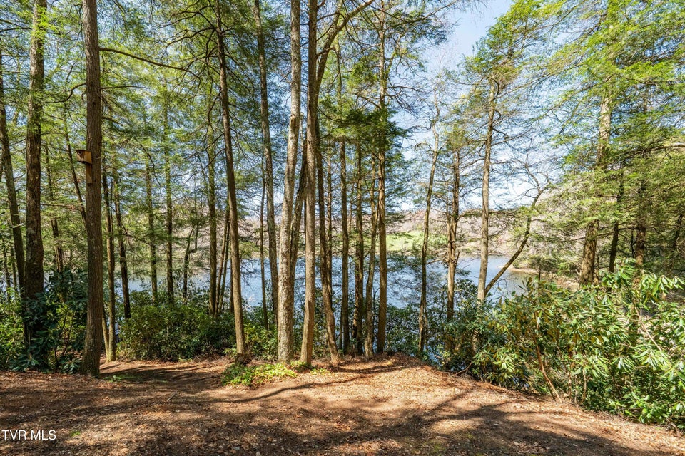 Photo #52: 238 Ripshin Lake Road