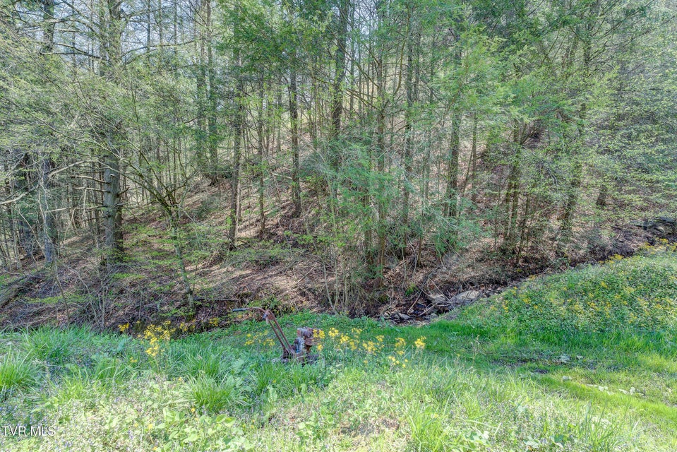 Photo #15: 1290 Mott Branch Road