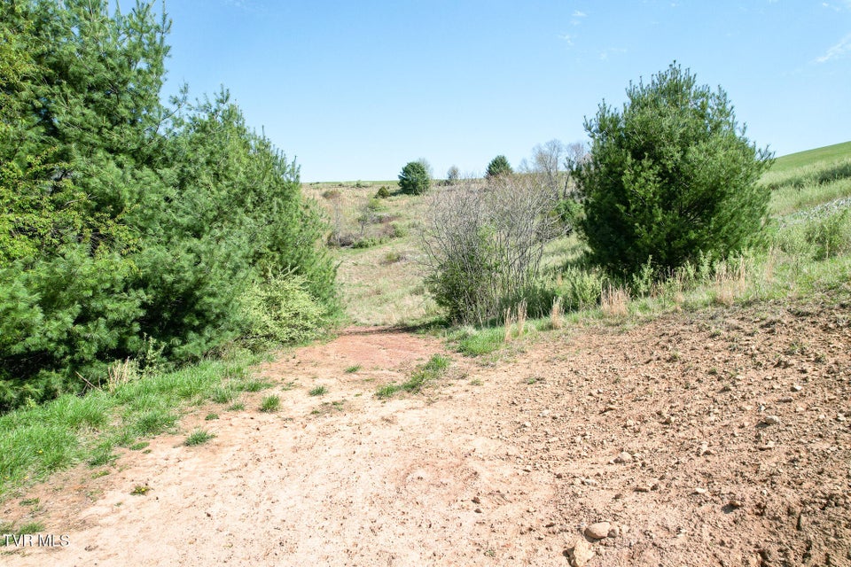 Photo #18: 887 Mill Creek Road