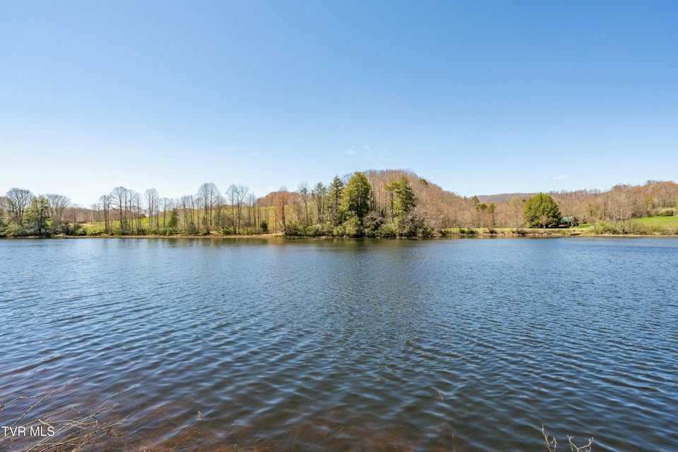 Photo #54: 238 Ripshin Lake Road