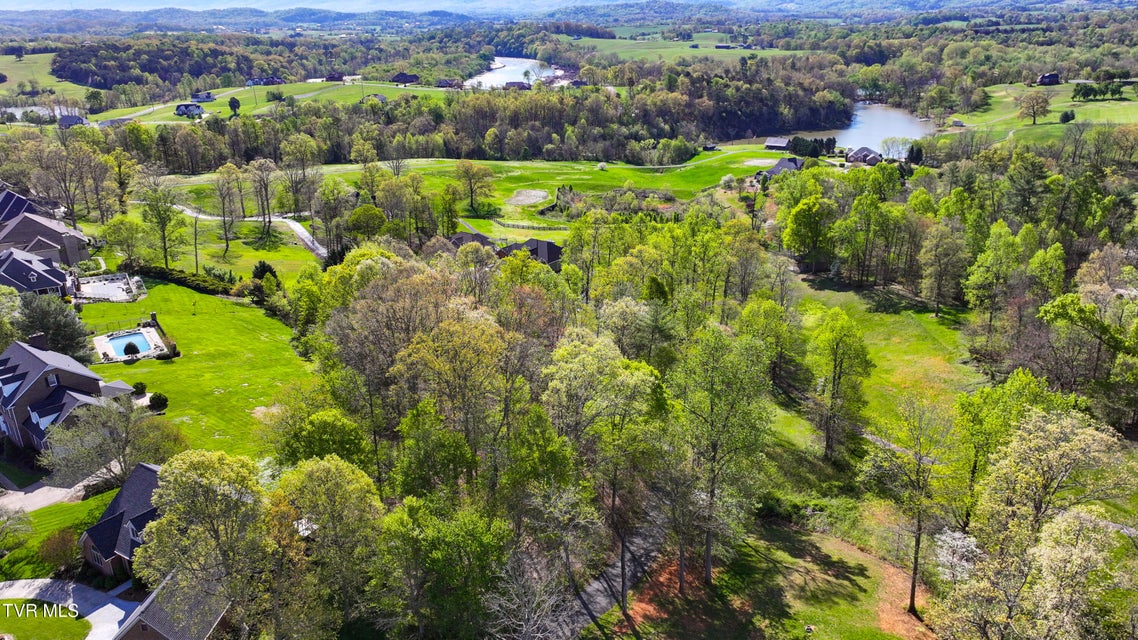 Photo #12: 0 Arnold Palmer Dr
