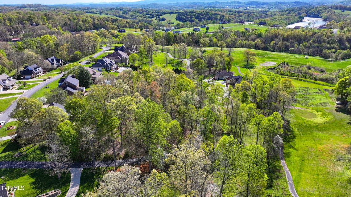 Photo #13: 0 Arnold Palmer Dr