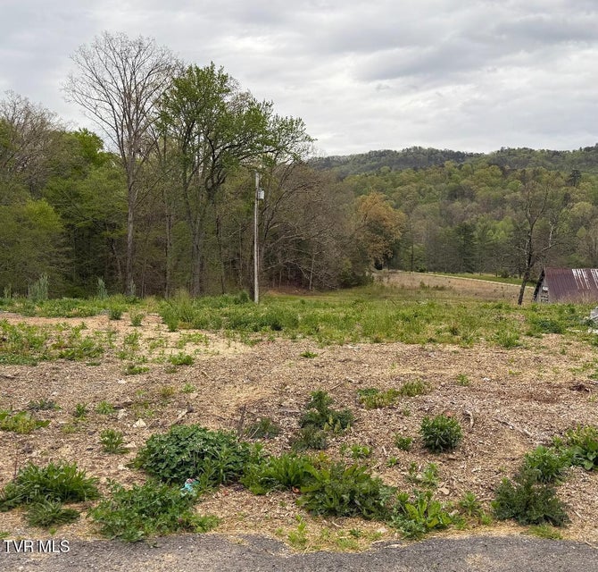 Photo #3: 128 Elbow City Road