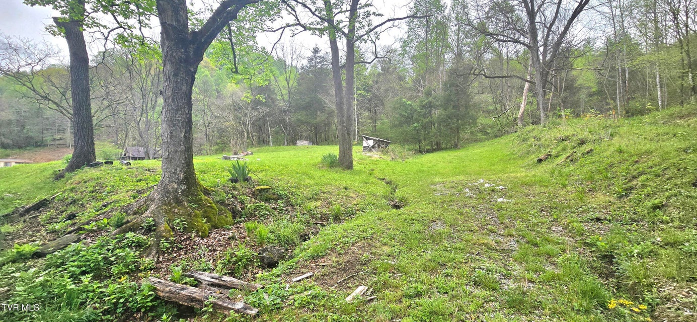 Photo #18: 519 Willow Springs Road