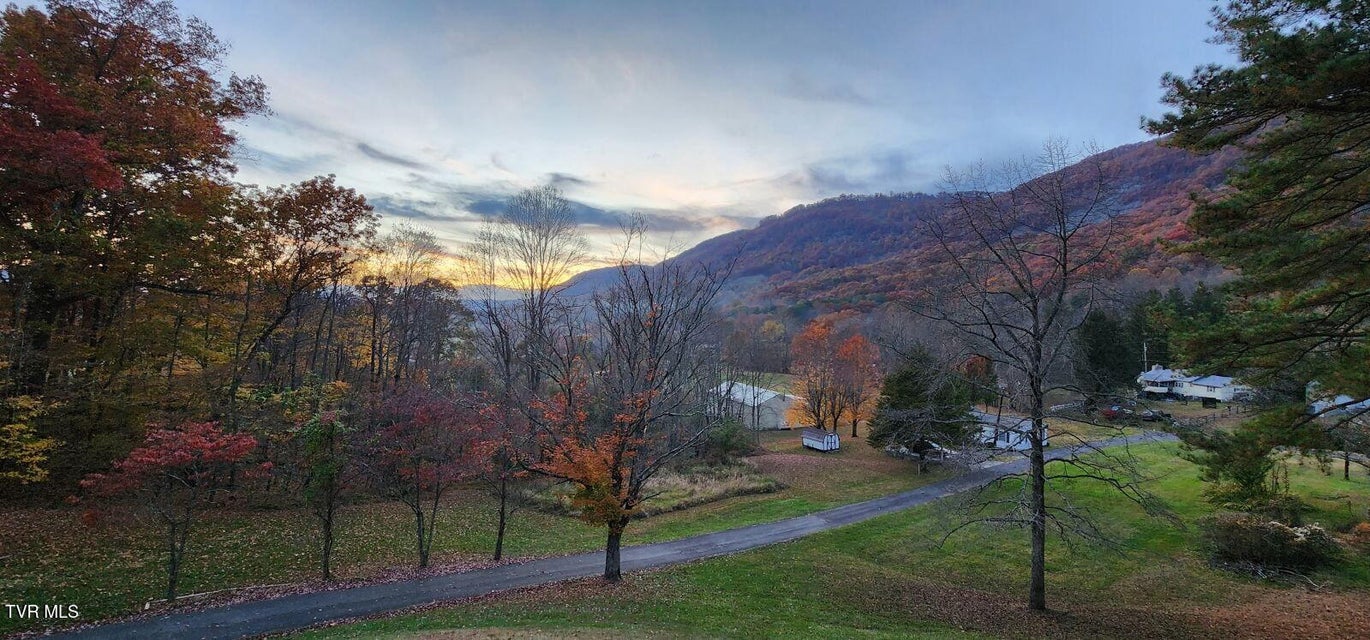 Photo #15: 3500 Glen Echo Drive