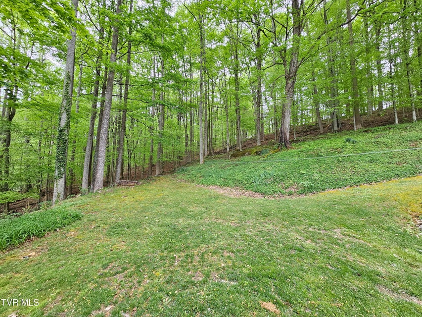 Photo #50: 10 Tallapoosa Road