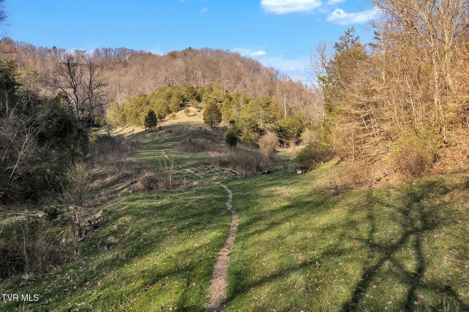 Photo #15: 736 Shelleys Road