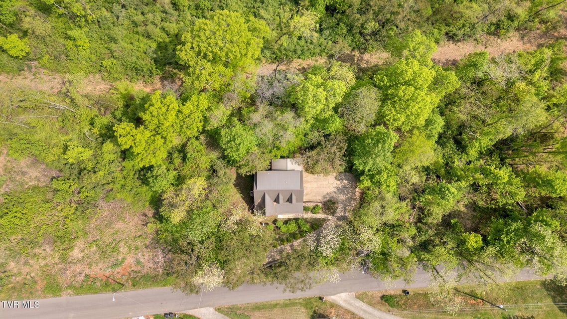 Photo #32: 3943 Bagwell Street