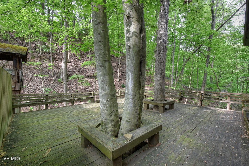 Photo #42: 732 Woodgreen Lane