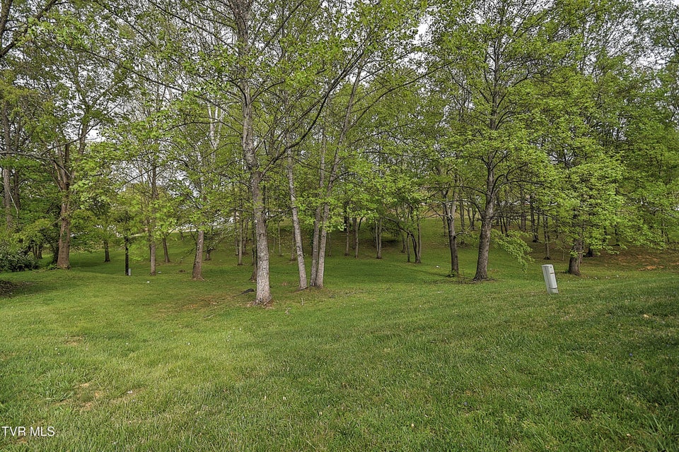 Photo #57: 111 Timberbrook Drive