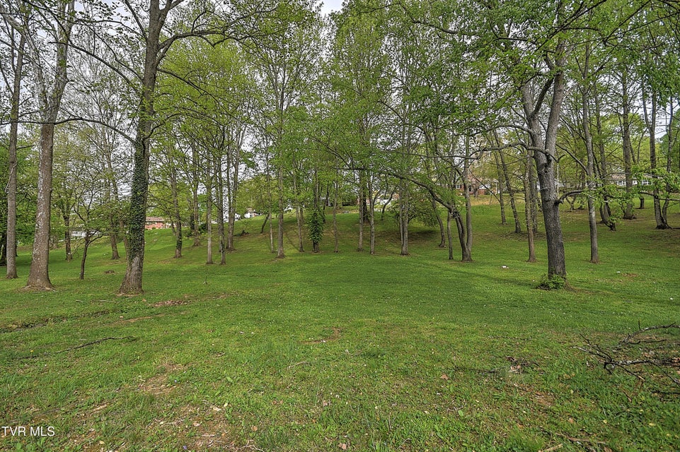 Photo #60: 111 Timberbrook Drive
