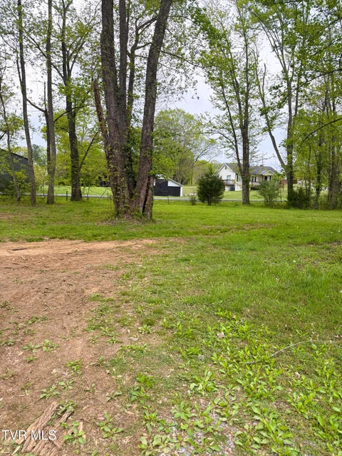 Photo #10: 116 Tranbarger Road