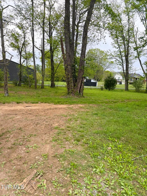 Photo #12: 116 Tranbarger Road