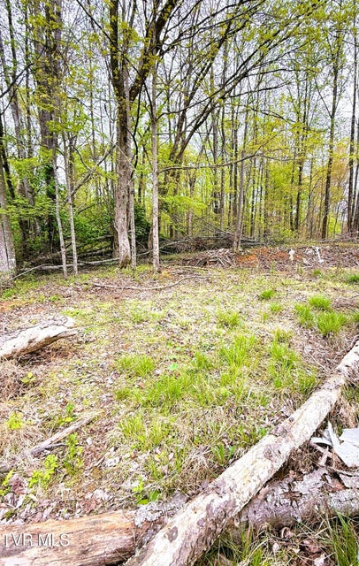 Photo #16: 116 Tranbarger Road