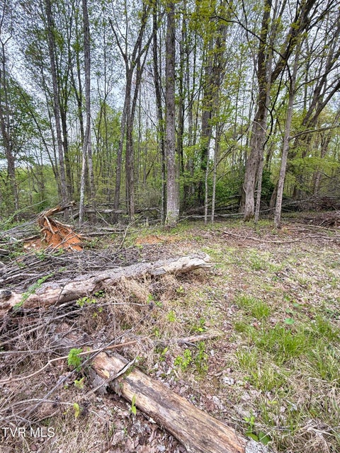Photo #18: 116 Tranbarger Road