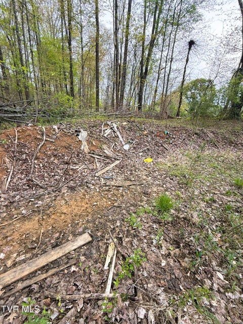 Photo #22: 116 Tranbarger Road