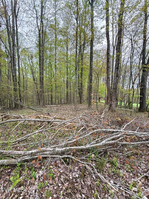 Photo #24: 116 Tranbarger Road