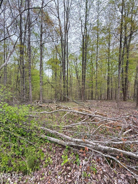 Photo #17: 116 Tranbarger Road