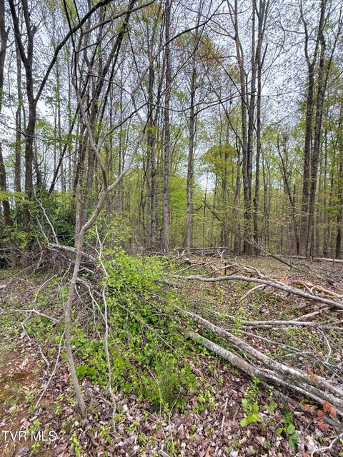 Photo #19: 116 Tranbarger Road