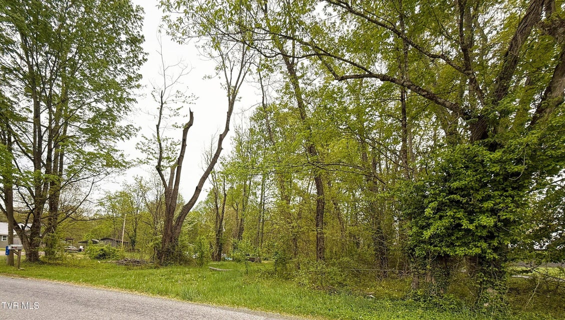 Photo #21: 116 Tranbarger Road