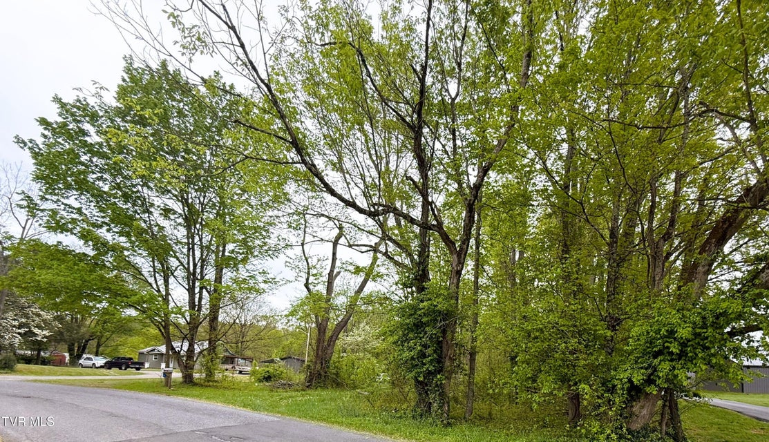 Photo #23: 116 Tranbarger Road