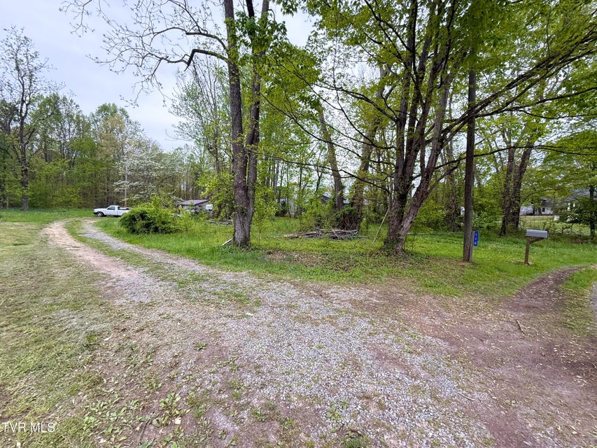 Photo #30: 116 Tranbarger Road