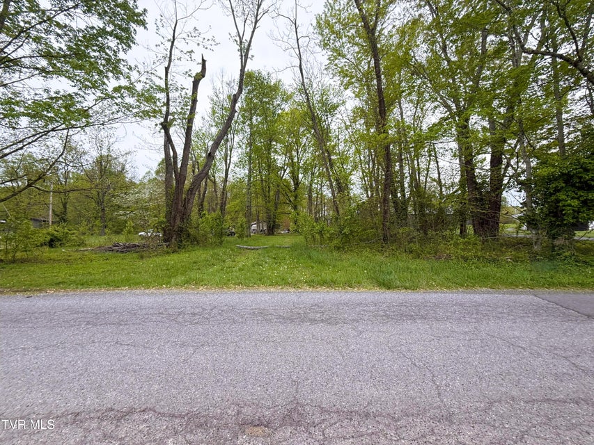 Photo #29: 116 Tranbarger Road