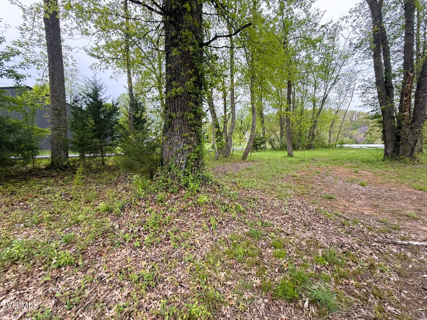 Photo #37: 116 Tranbarger Road