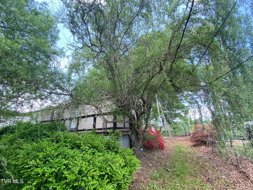 Photo #4: 2420 Bailey Bridge Road