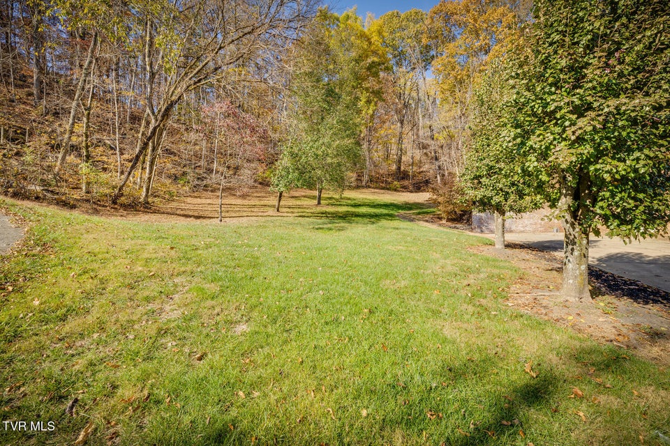 Photo #75: 246 Worthington Drive