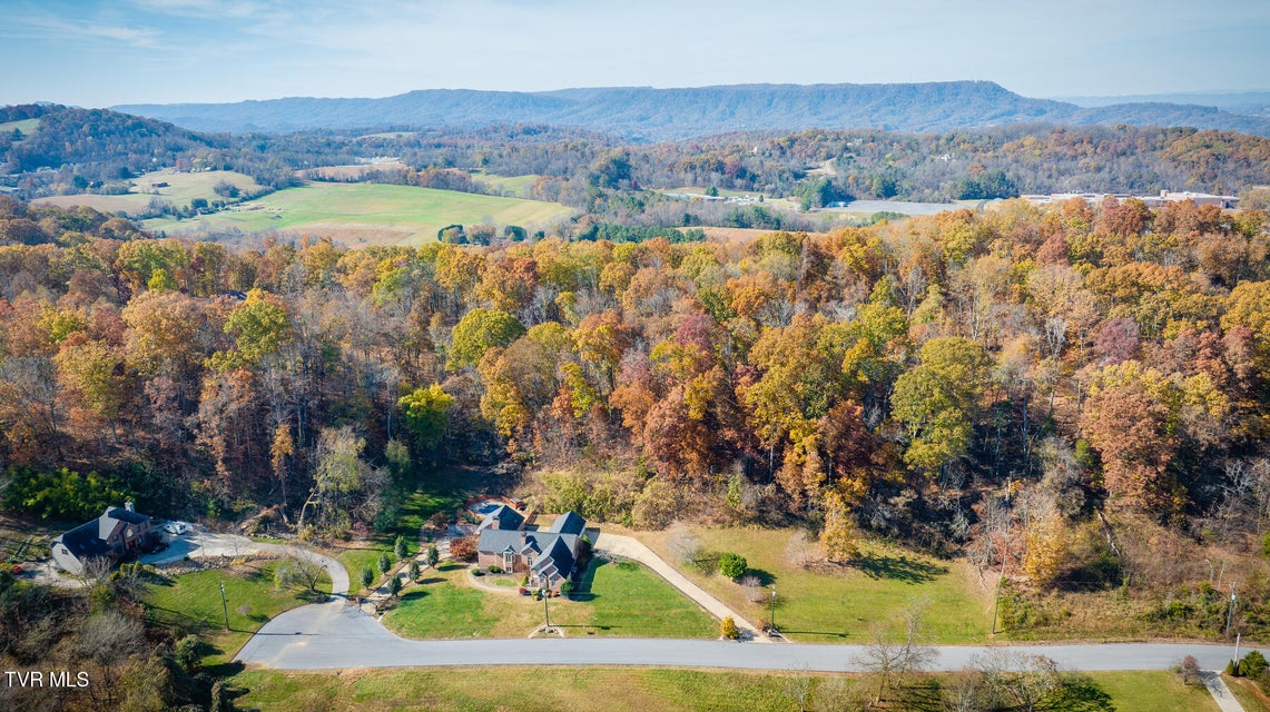 Photo #89: 246 Worthington Drive