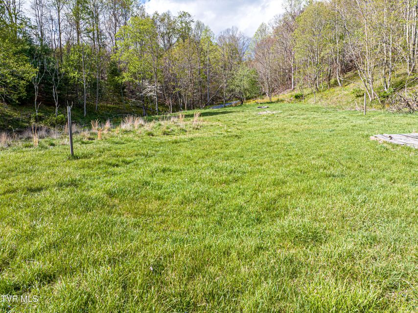 Photo #2: 513 Beadwood Lane