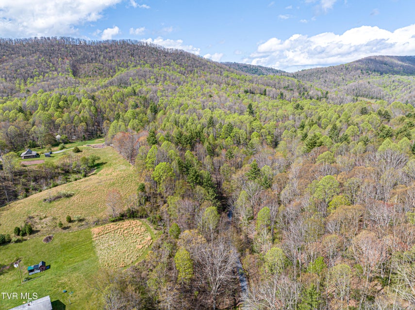 Photo #16: 513 Beadwood Lane