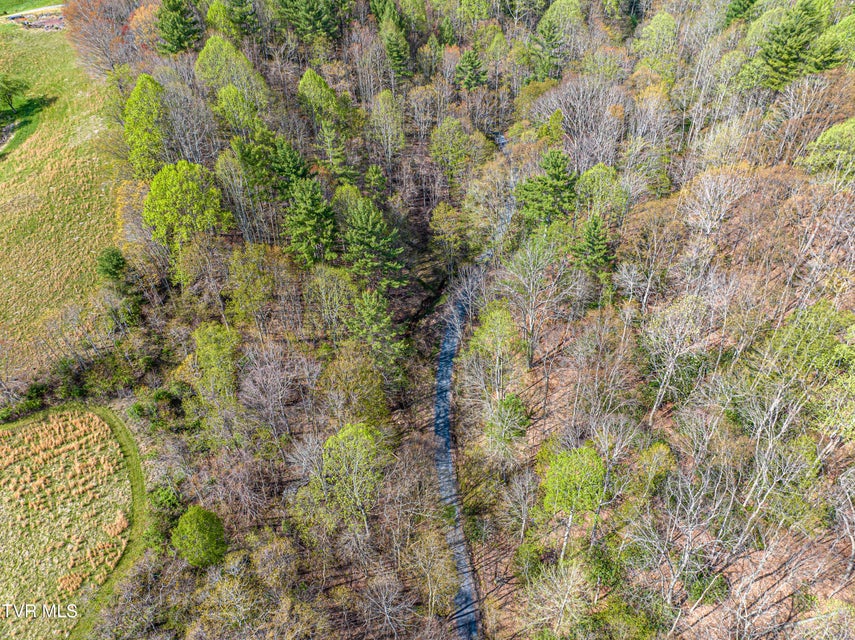 Photo #17: 513 Beadwood Lane