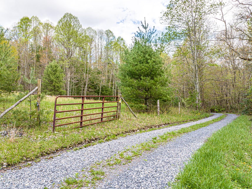 Photo #18: 513 Beadwood Lane