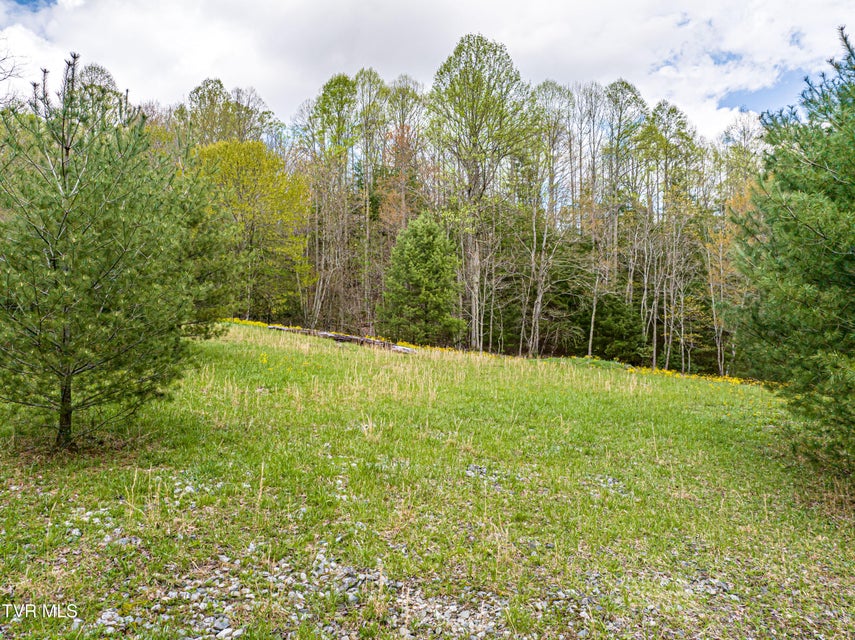 Photo #19: 513 Beadwood Lane