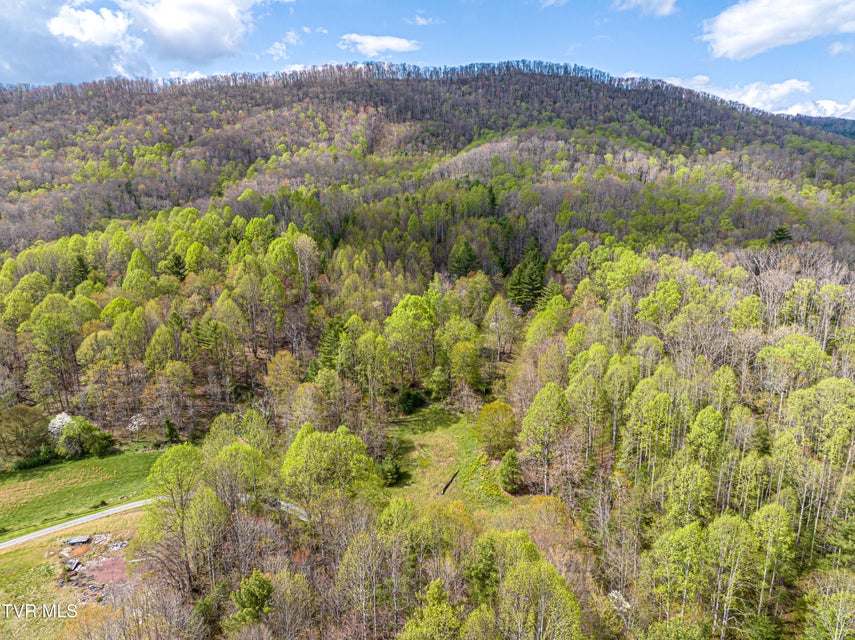 Photo #24: 513 Beadwood Lane