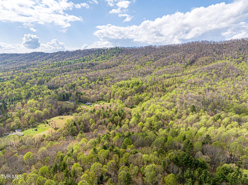 Photo #32: 513 Beadwood Lane